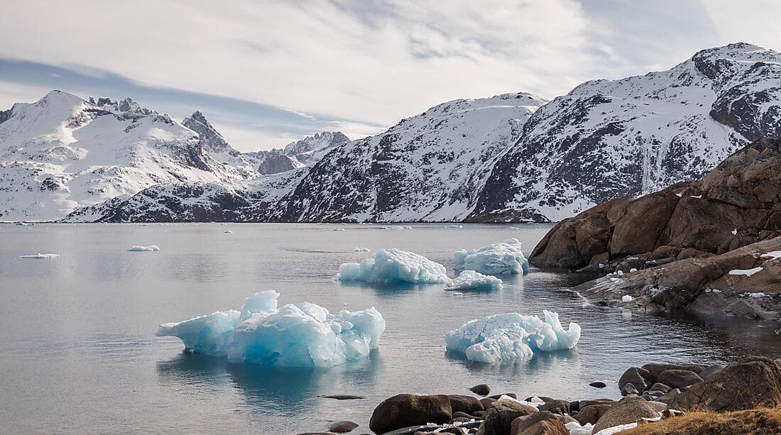 Premières rencontres et baie de Disko insoupçonnée