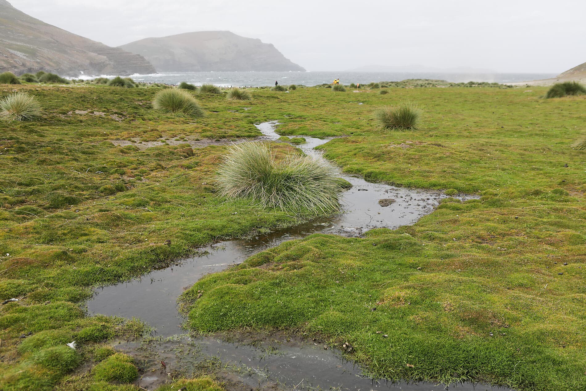 Voyage en terres australes et péninsule Valdés