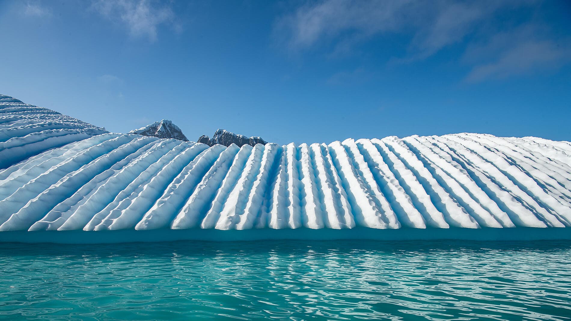 Voyage en terres australes et péninsule Valdés
