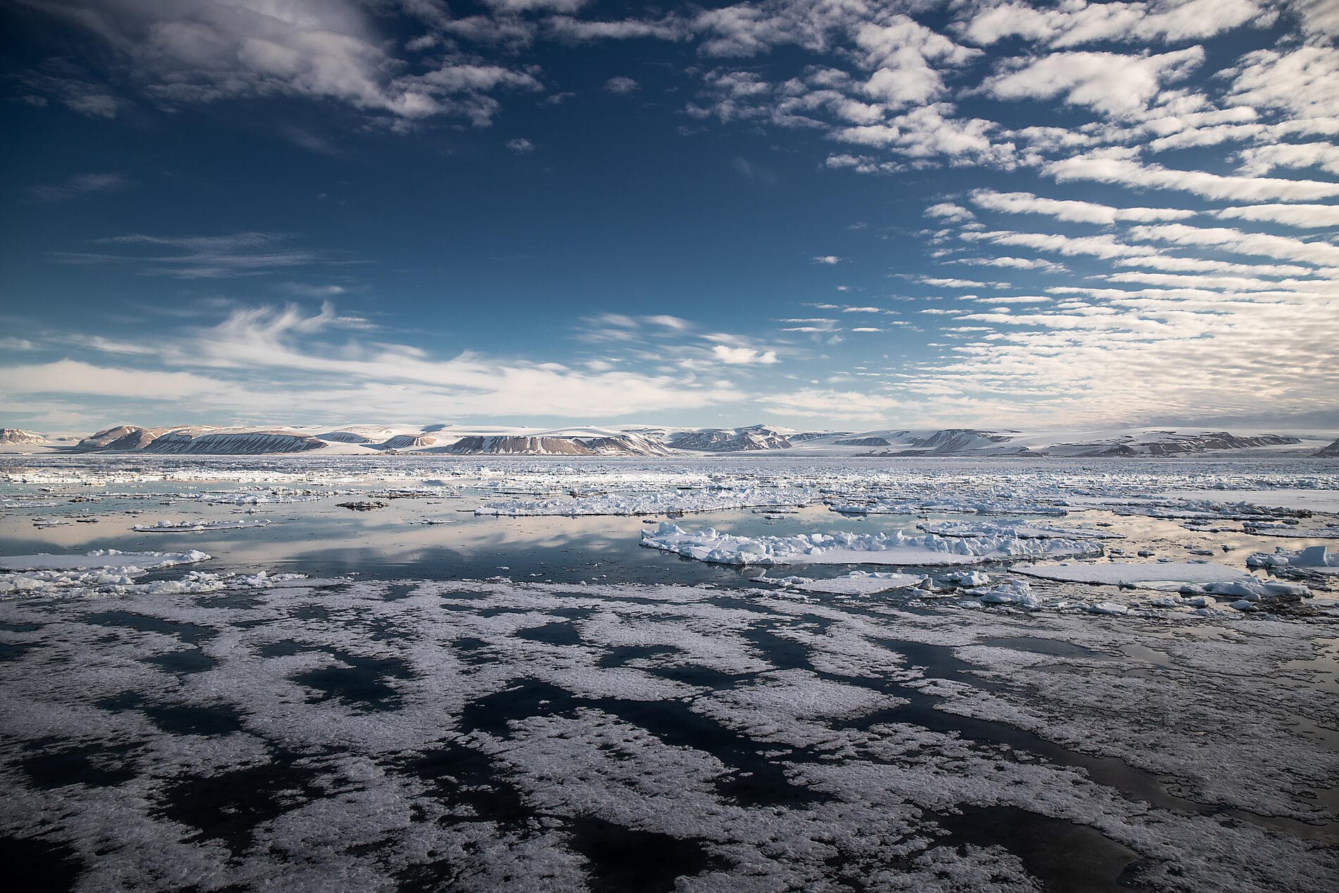 Au cœur des glaces de l'Arctique, du Groenland au Svalbard ©morgane_Monneret/StudioPONANT