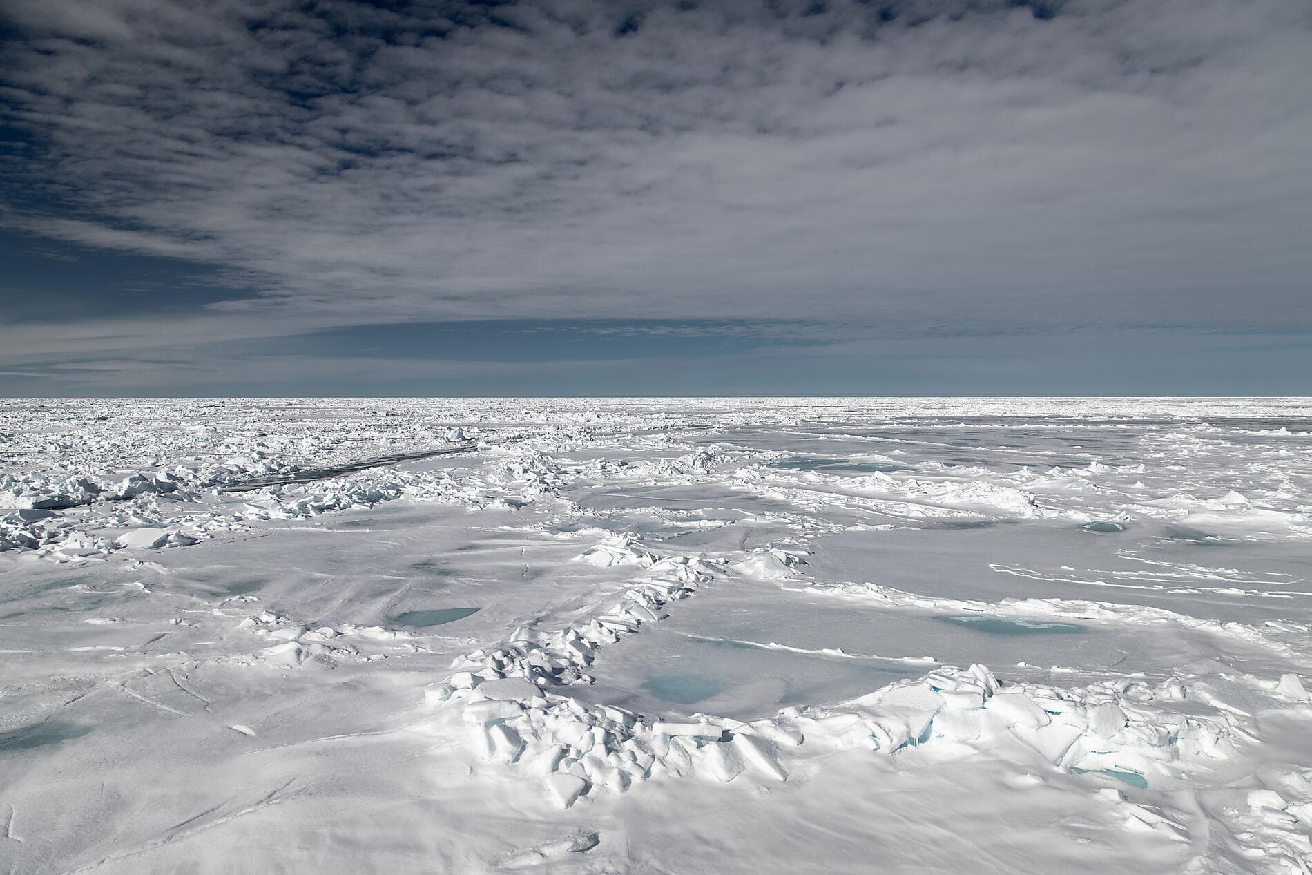 Le pôle Nord géographique