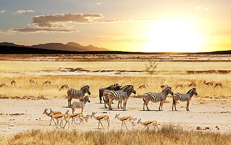 18 Déc 26 > 19 Déc 26 - Richards Bay