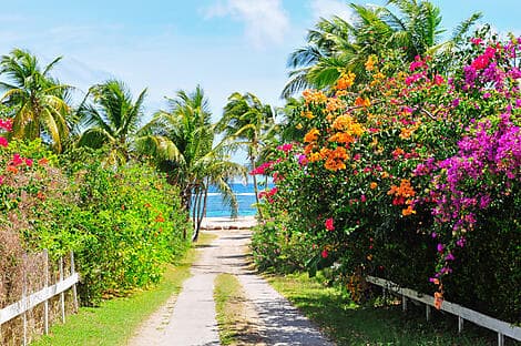 15 Déc 26 - Charlestown, Nevis