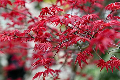 19 Mars 27 - Itozaki