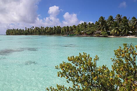 10 Janv 26 - Rangiroa, îles Tuamotu