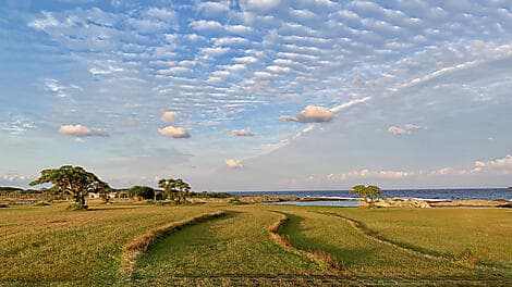 8 Mars 26 - Kikaijima