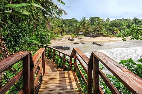17 Janv 26 > 18 Janv 26 - Bocas del Toro