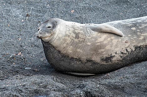 8 Mars 26 > 9 Mars 26 - Terres australes et antarctiques françaises