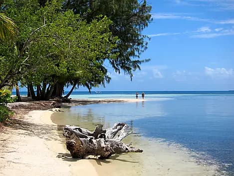 13 Janv 26 - Water Caye