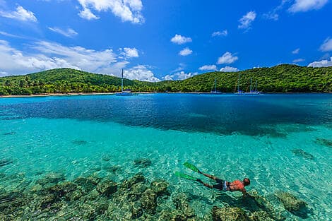 24 Janv 26 - Île de Mayreau