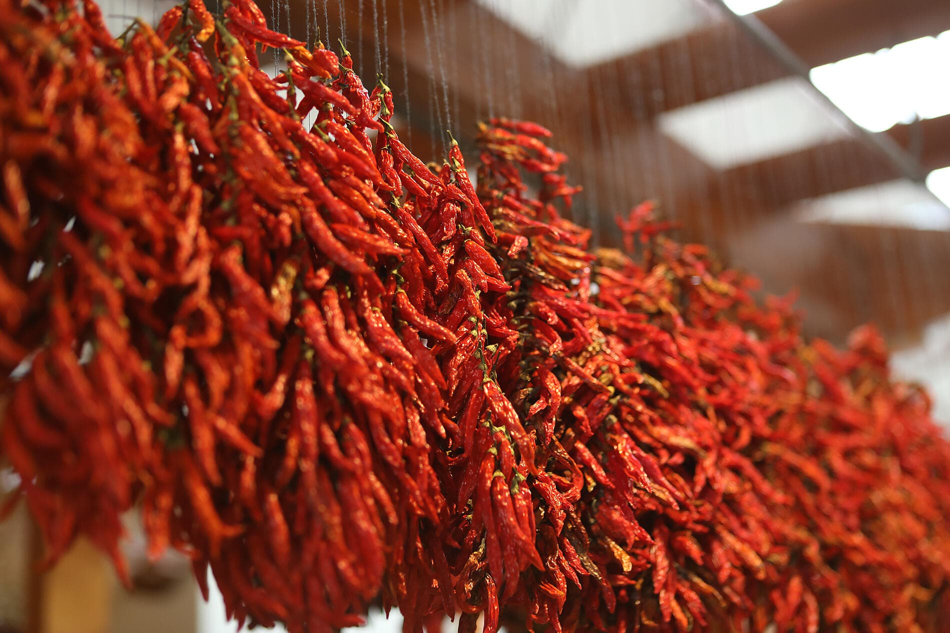 Îles volcaniques et cités historiques de l'Atlantique Nord